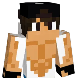 Meyer Minecraft avatar bust
