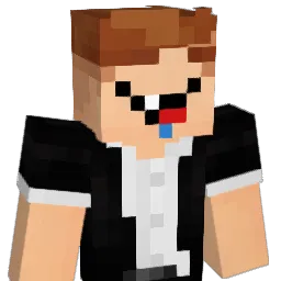 Mg_2609 Minecraft avatar bust