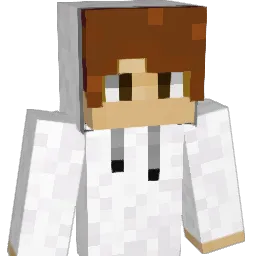 MiColeCole Minecraft avatar bust