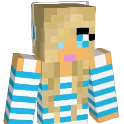 MicaryW Minecraft avatar bust