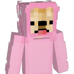 Michalina2013 Minecraft avatar bust