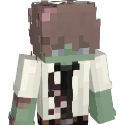 Michiparado Minecraft avatar bust