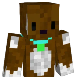 Mickey2006 Minecraft avatar bust