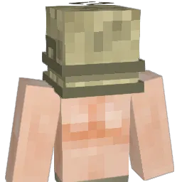 MicrowavedOrphan Minecraft avatar bust