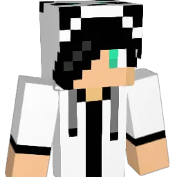 MidNightGamer225 Minecraft avatar bust