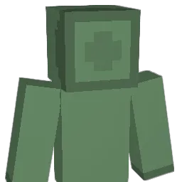 MidnightShadow8 Minecraft avatar bust