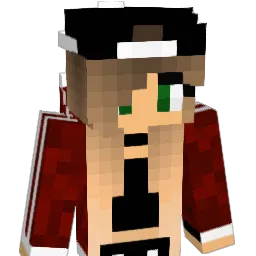Mii17 Minecraft avatar bust