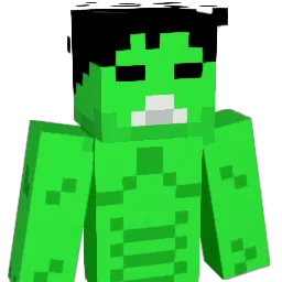 MiixR Minecraft avatar bust