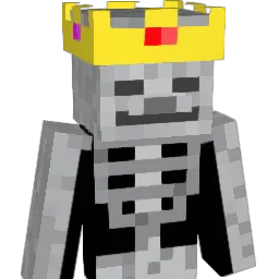 MikMik_28 Minecraft avatar bust