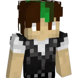 Mikachu4942 Minecraft avatar bust