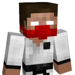 MilitaerStandard Minecraft avatar bust