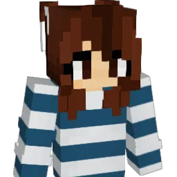 Mindianer's Minecraft skin