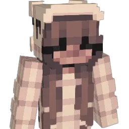 MineDeinaraft Minecraft avatar bust