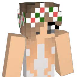 Minebuster20112 Minecraft avatar bust