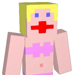 Miner572 Minecraft avatar bust