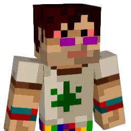 Minerdude_ Minecraft avatar bust