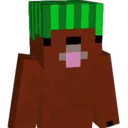 MiniChedz Minecraft avatar bust