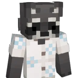 MiniRaccooon