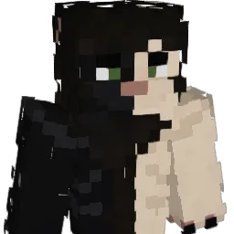 MinisVoid