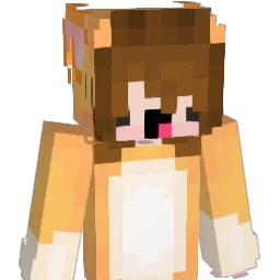 Mintsys