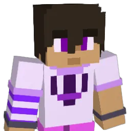 MirageVision Minecraft avatar bust