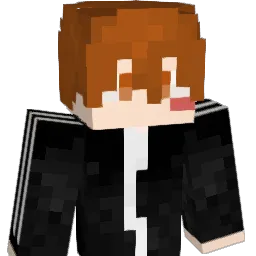 Mirr_1 Minecraft avatar bust