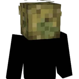 Mish_Dax Minecraft avatar bust