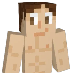 Mishi_____ Minecraft avatar bust