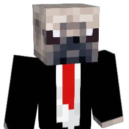 MistaPibbb Minecraft avatar bust