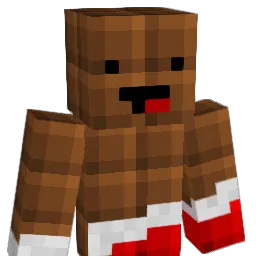 MisterSchokolade Minecraft avatar bust