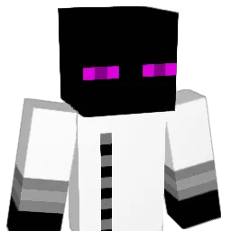 Mister_Ender Minecraft avatar bust
