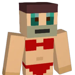 Mister_Fiffer Minecraft avatar bust