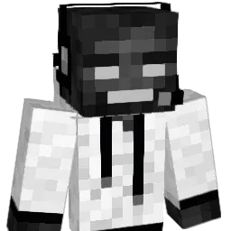 Misterer Minecraft avatar bust