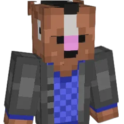 Miszczu24 Minecraft avatar bust