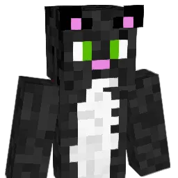 MochiDaCat Minecraft avatar bust