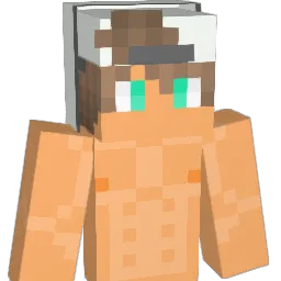 Modallotus593689 Minecraft avatar bust