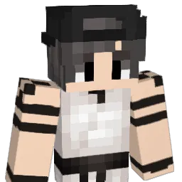 MohFr's Minecraft skin