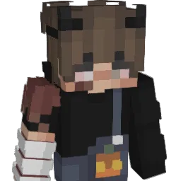 Mokolein Minecraft avatar bust