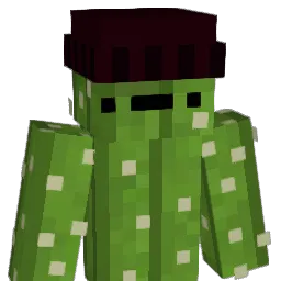 Monomo2008Fro Minecraft avatar bust