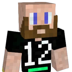 Moose9560 Minecraft avatar bust
