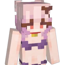 MoreChip_