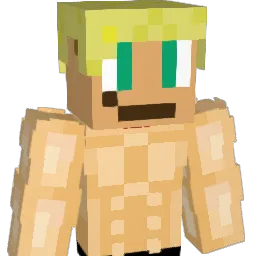 Mormor0911 Minecraft avatar bust