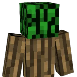 Mr2Poah Minecraft avatar bust