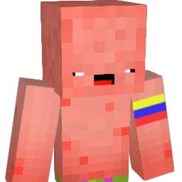 Mr6969696 Minecraft avatar bust