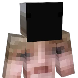 MrBee465 Minecraft avatar bust