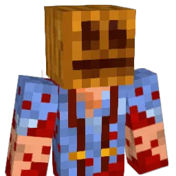 MrBoringMan Minecraft avatar bust