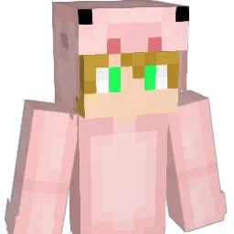 MrCerdu
