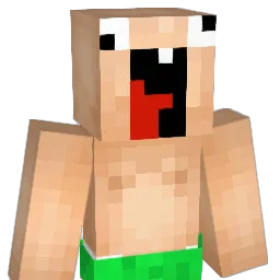 MrDonkeyDonk Minecraft avatar bust