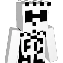 MrFidelDidel Minecraft avatar bust