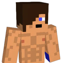 MrFlatTire Minecraft avatar bust